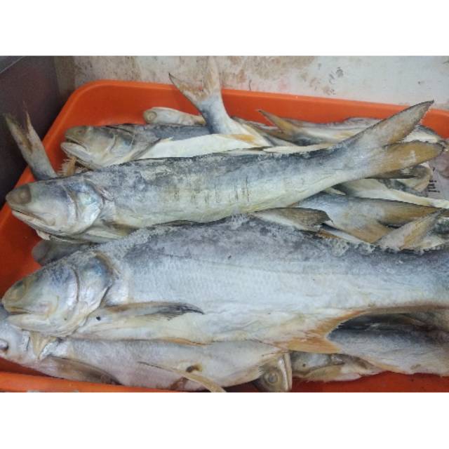

Ikan Kuro Asin
