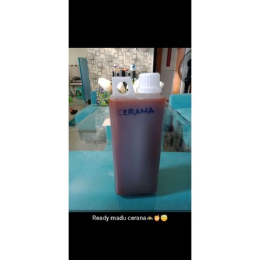 

madu cerana asli tidak oplosan