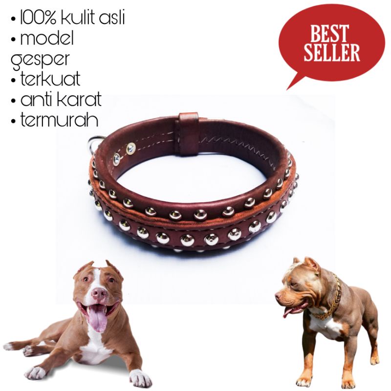 kalung anjing kulit
