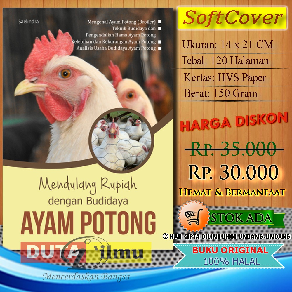 Mendulang Rupiah Dengan Budidaya Ayam Potong Shopee Indonesia