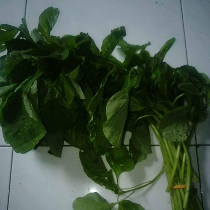 

Sayur Bayam Hijau