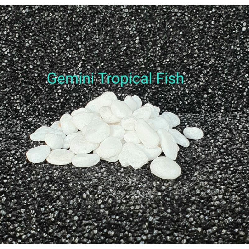 Batu Hias Putih Salju Akuarium Taman Pot Bunga