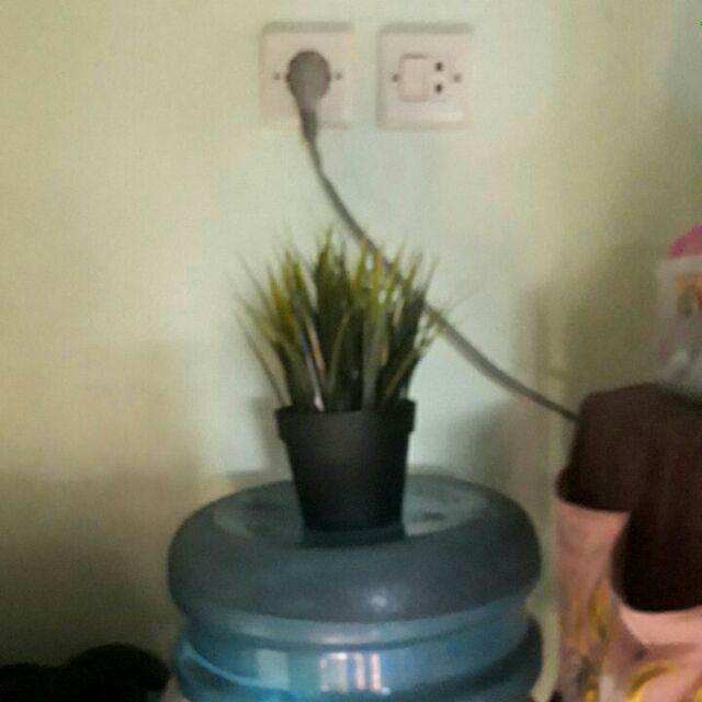 Fejka Tanaman Rumput Tiruan Dalam Pot