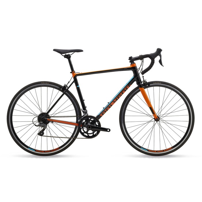 bike and road