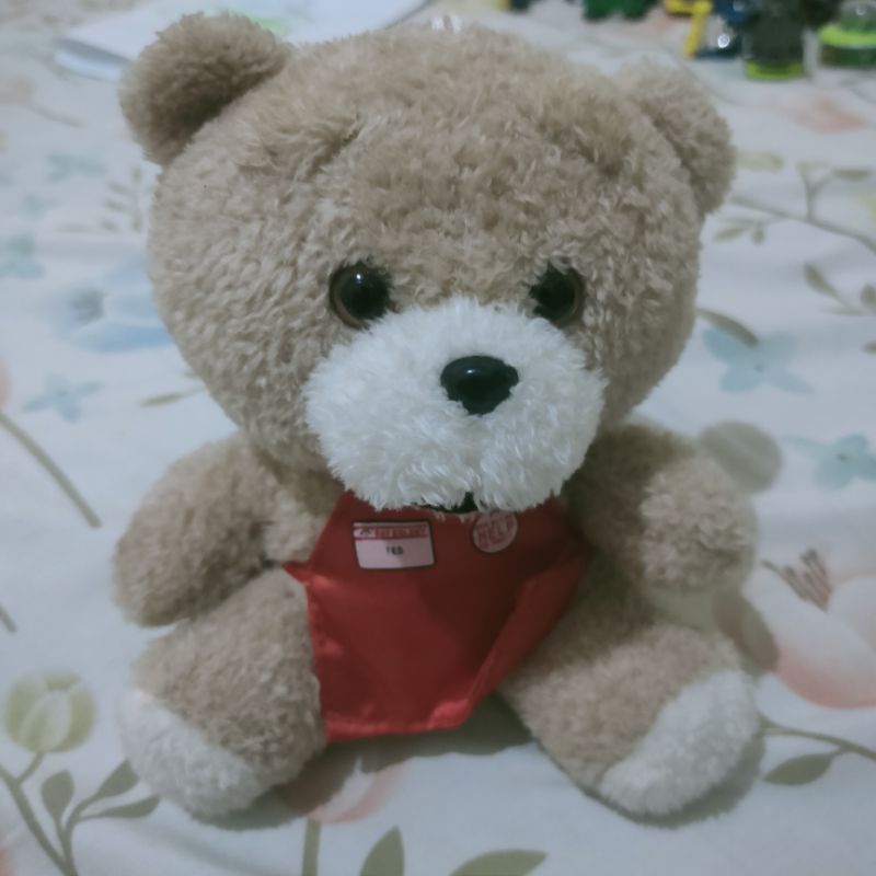 Teddy Kostum Memasak