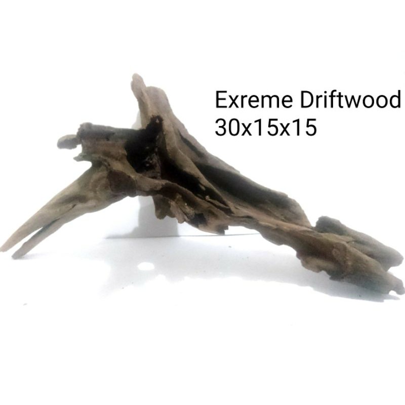 Driftwood Asli Santigi Rentek Akar Santigi Kayu Santigi Erosi Santigi Laut Bonsai Aquascape
