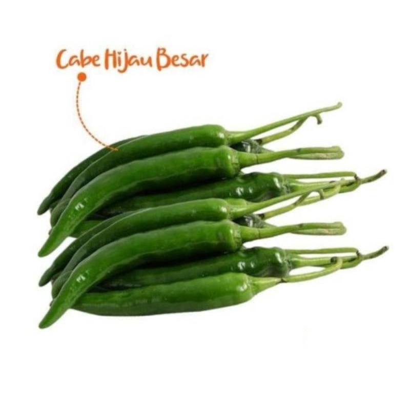 

Cabe Hijau Besar Berat 100 Grm