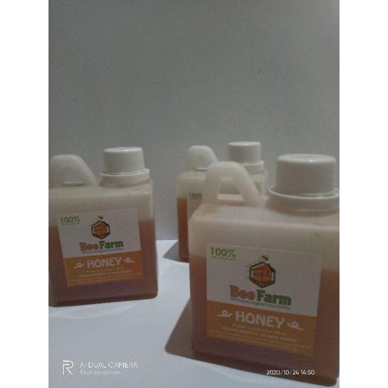 

Madu murni organik bee farm