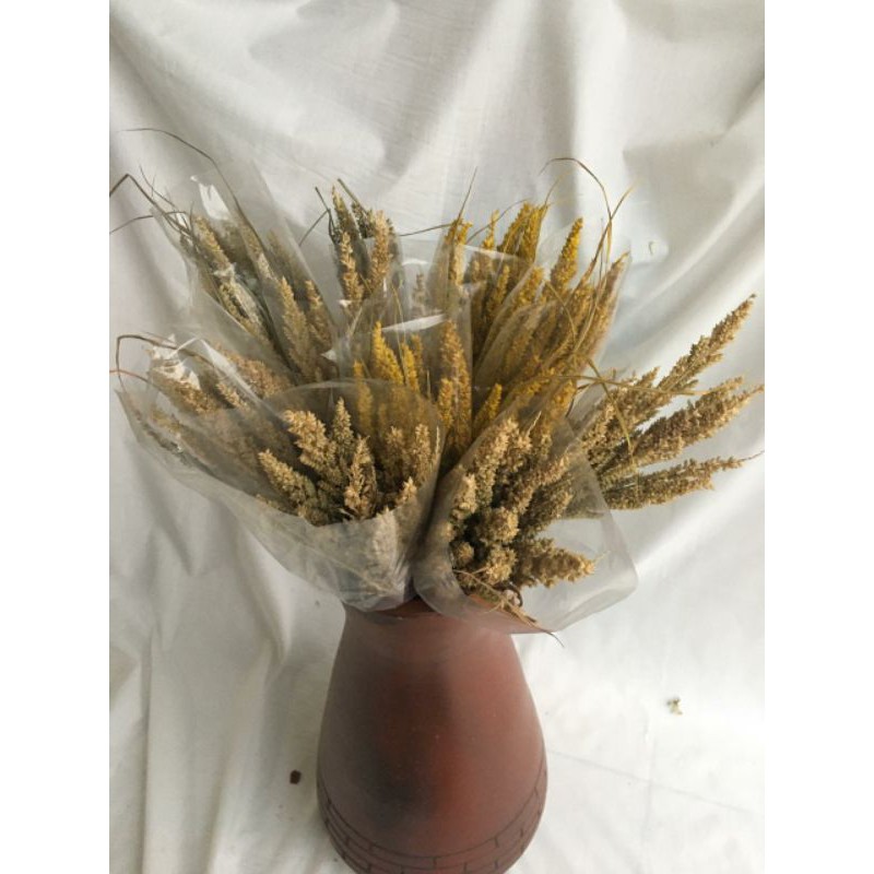 

Bunga kering/bunga jiwa