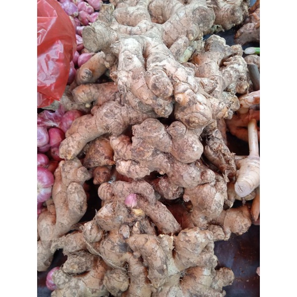 

JAHE /BUMBU DAPUR/REMPAH/