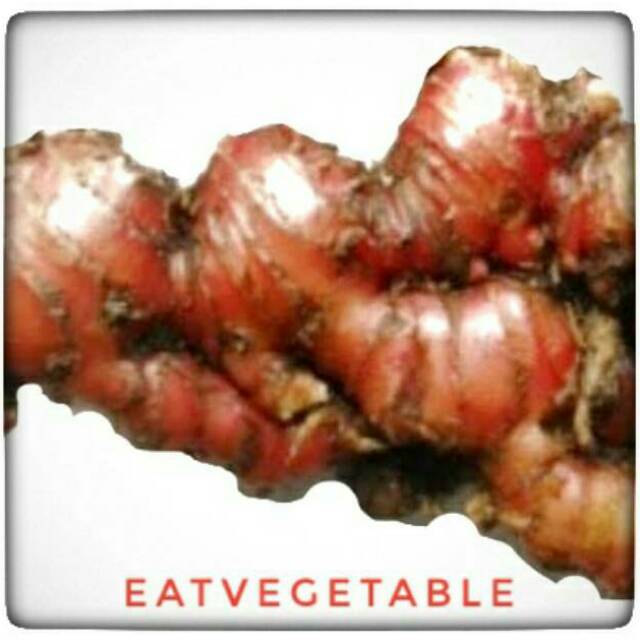 

Jahe Merah 1 kg