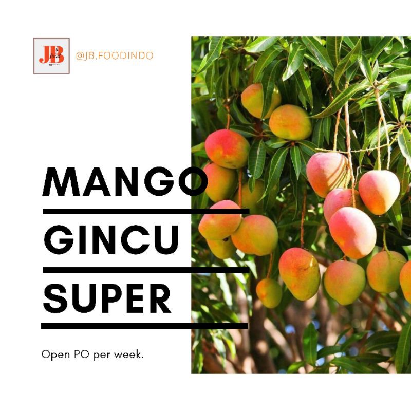 

Mango Gedong Gincu Super