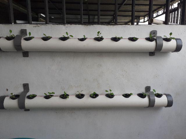 Klem Uk.2.5 Klamp 21/2 Inchi  Klem Pipa Hidroponik