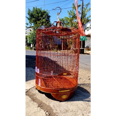 sangkar murai BNR reborn tebok bambu