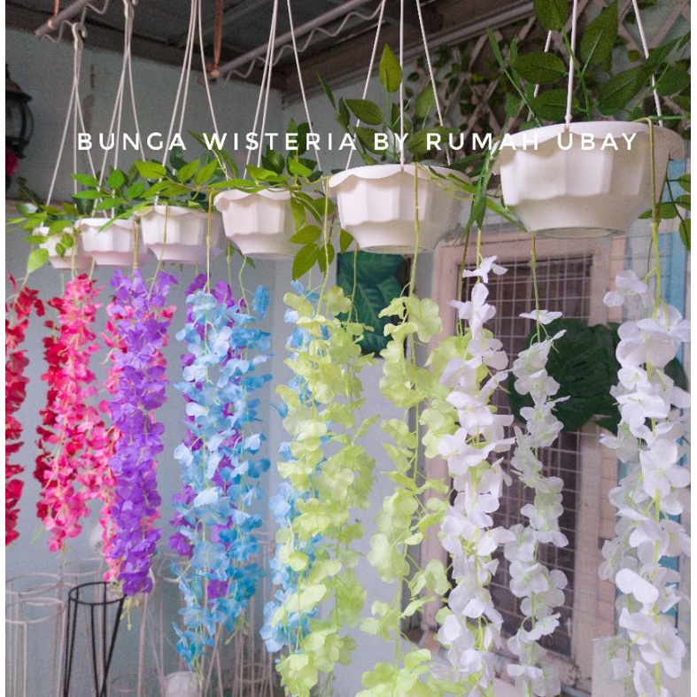 RB [COD]Bunga WISTERIA JUMBO + POT GANTUNG