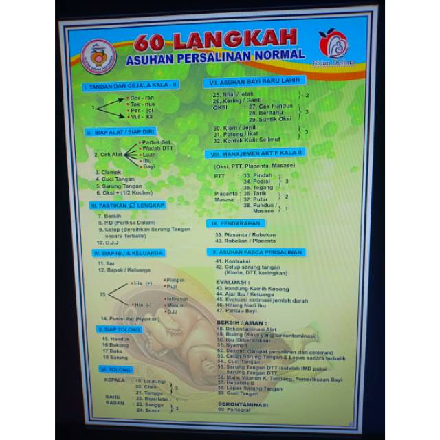 Poster Kebidanan 60 Langkah Apn Penggambar