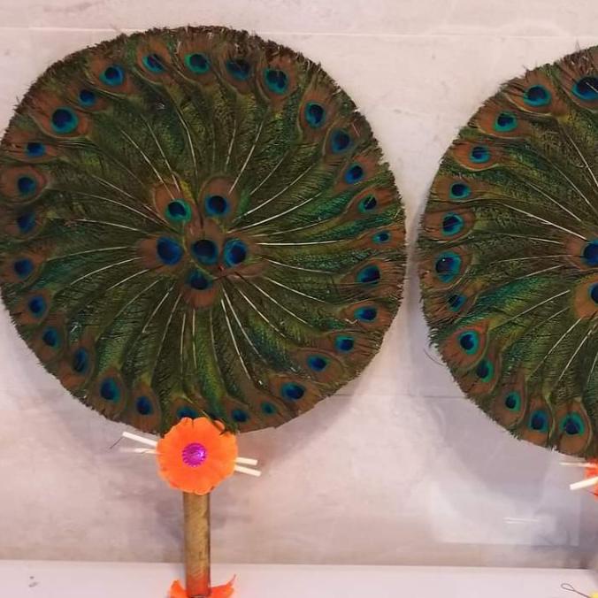 :<:<:<:<] kipas merak india