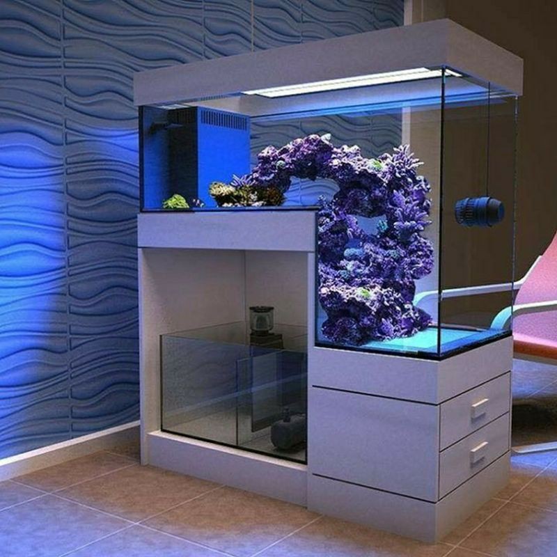 cabinet aquarium beirut