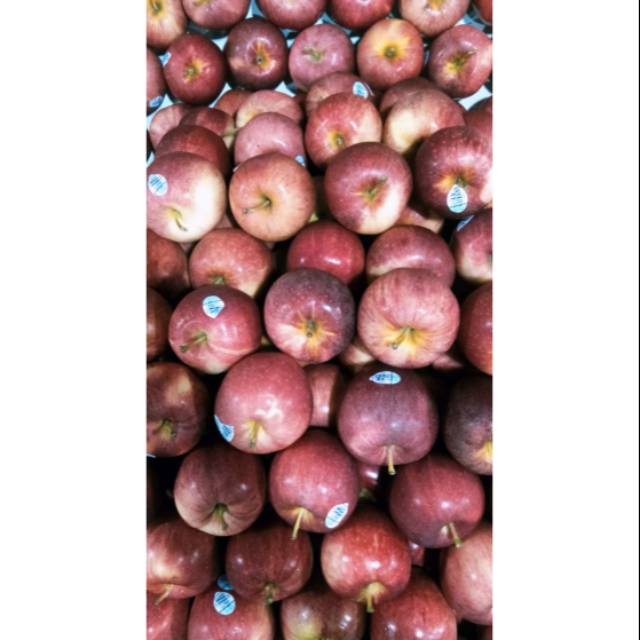 

buah apel royal gala |buah segar bandung|apel gala premium|nuri fruits|buah segar