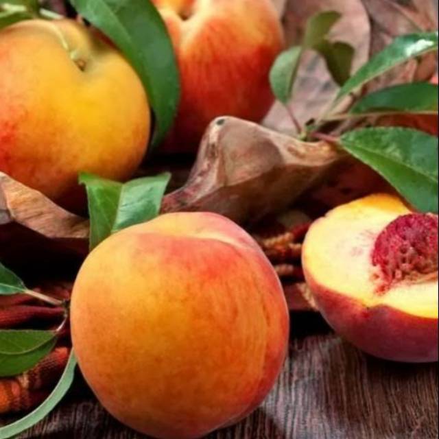 Bibit buah persik super