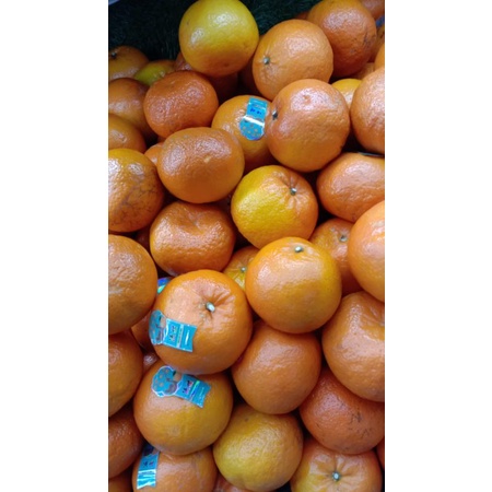 

JERUK WOKAM EX JEPANG MANIS