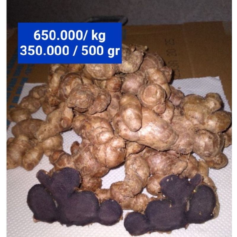 

Kunyit Hitam Organik ( Kaempferia Parviflora) 500 gr