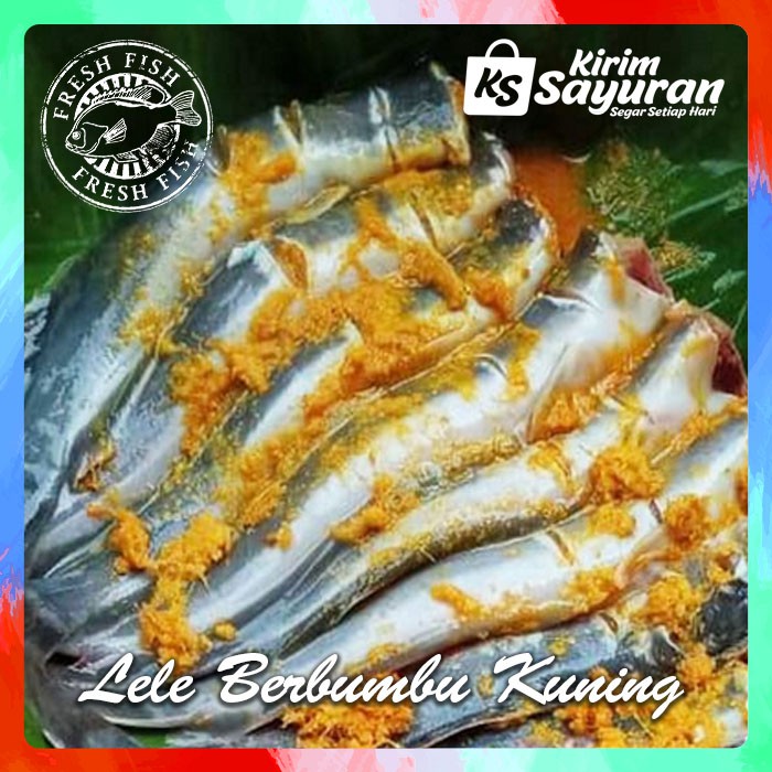 

Lele Segar Berbumbu Kuning, Bakar / Goreng 1 kg