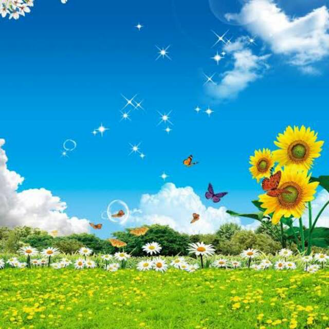 Baground Mahar Motif Langit Shopee Indonesia