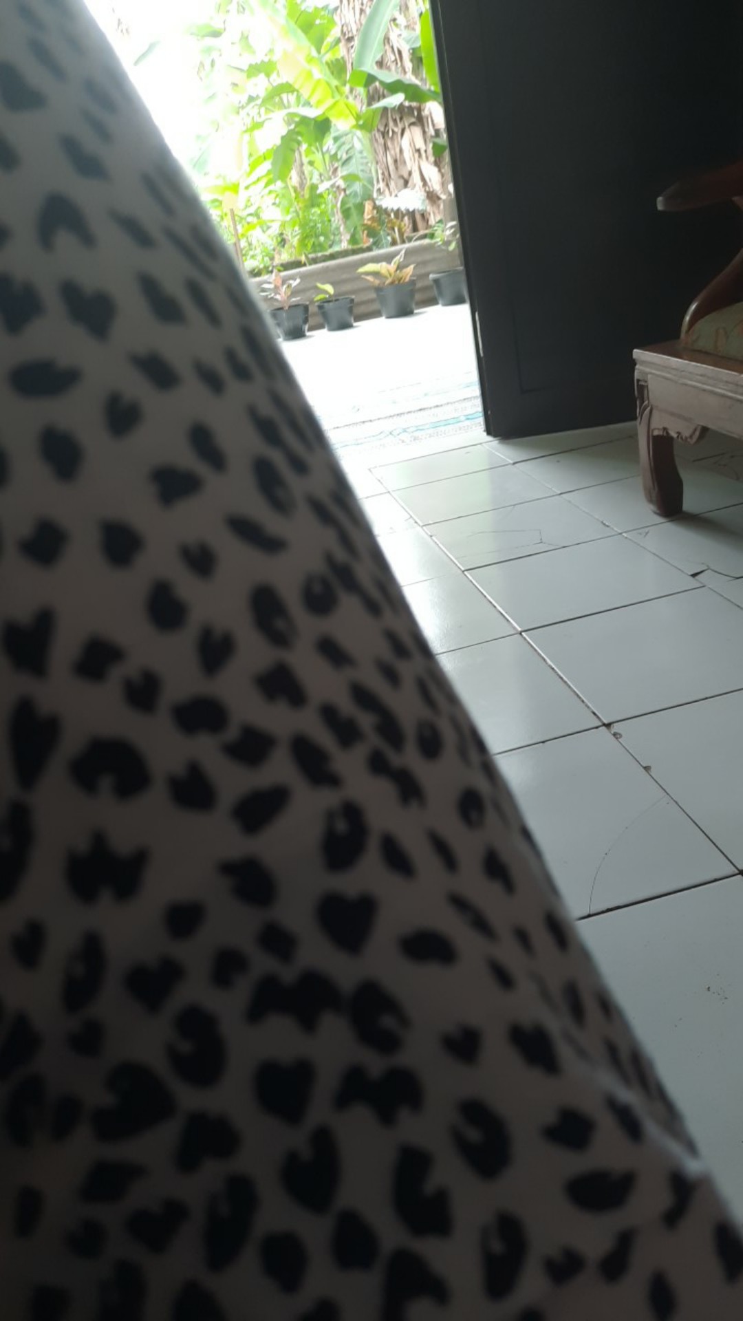 Pisau Buah Stainless Pisau Apel Pisau Sayuran