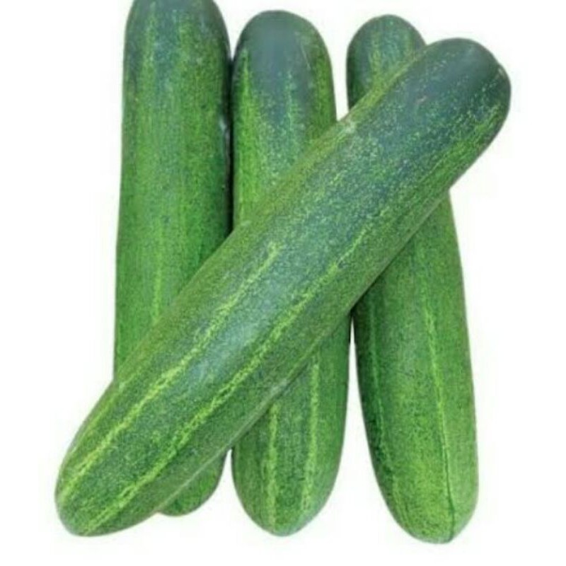 

Timun Mentimun Lalapan/500gr