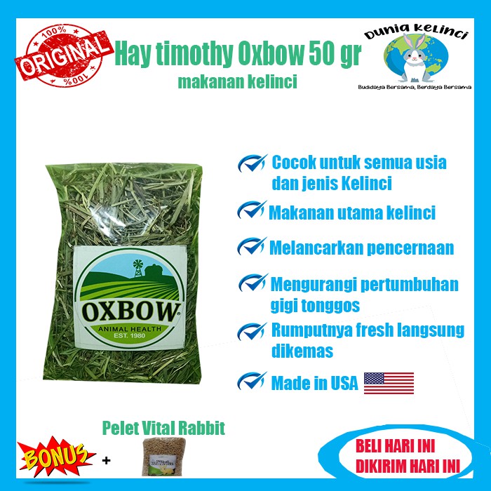 MAKANAN KELINCI HAY TIMOTHY OXBOW 100 GR GUINEA PIG MARMUT CHINCHILLA HAMSTER RUMPUT KERING JERAMI-Hay Timothy 50 gr