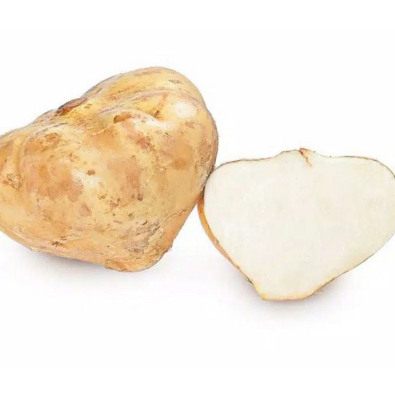 

buah bengkoang segar perkilo