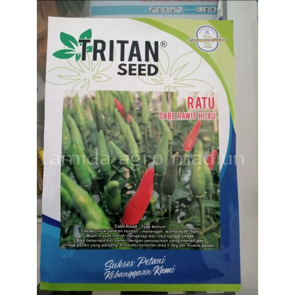 Benih Bibit Cabe Rawit RATU Buah Hijau Tegak