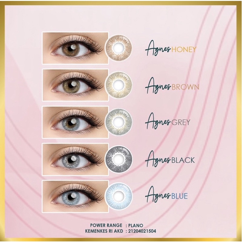 Softlens Agnes B by Omega NORMAL ONLY dia 14,5 (No ring)