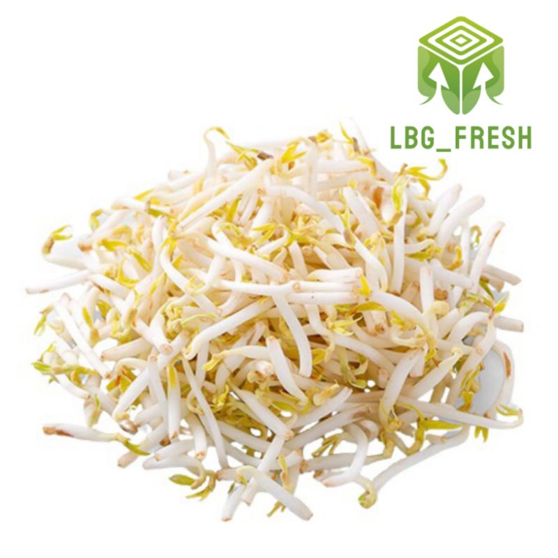 

tauge Mayoshi 500gr