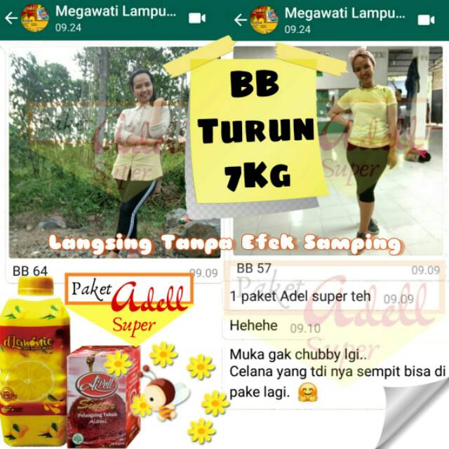 DLEMONIE PAKET HEMAT PAKET ADEL D'LEMONIE ORIGINAL ( 15 KAPSUL APEL SUPER DAN 1 BOTOL LEMON)