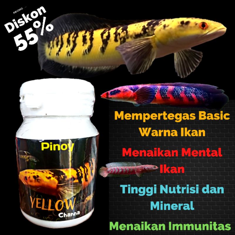 Pelet Pakan Chana Yellow Sentarum Red Barito asiatica Barca Auranti Pinoy Yellow Channa 50gr 2mm