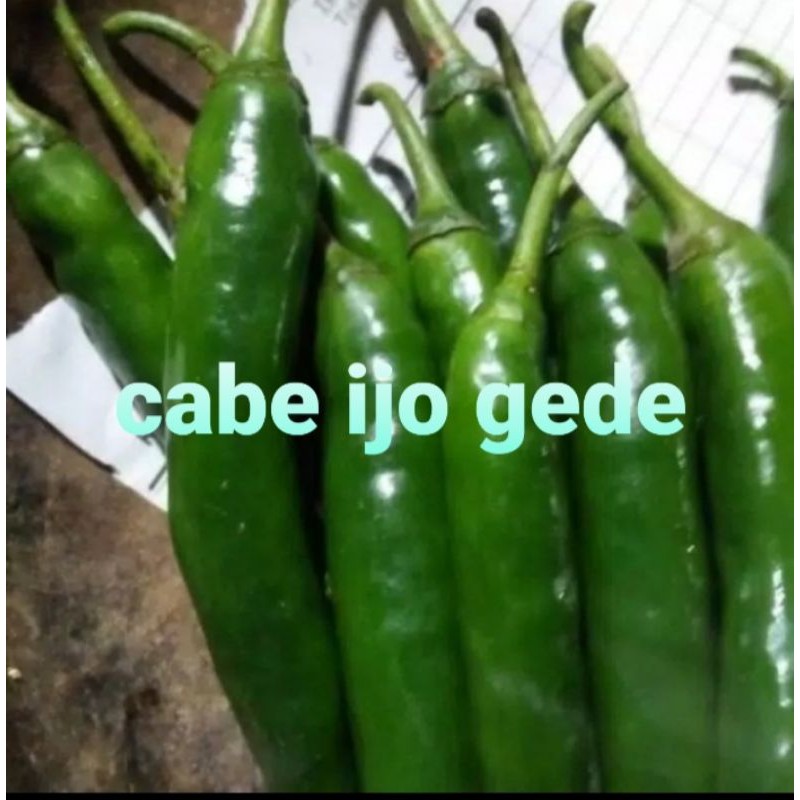 

CABE HIJO GEDE/250grm