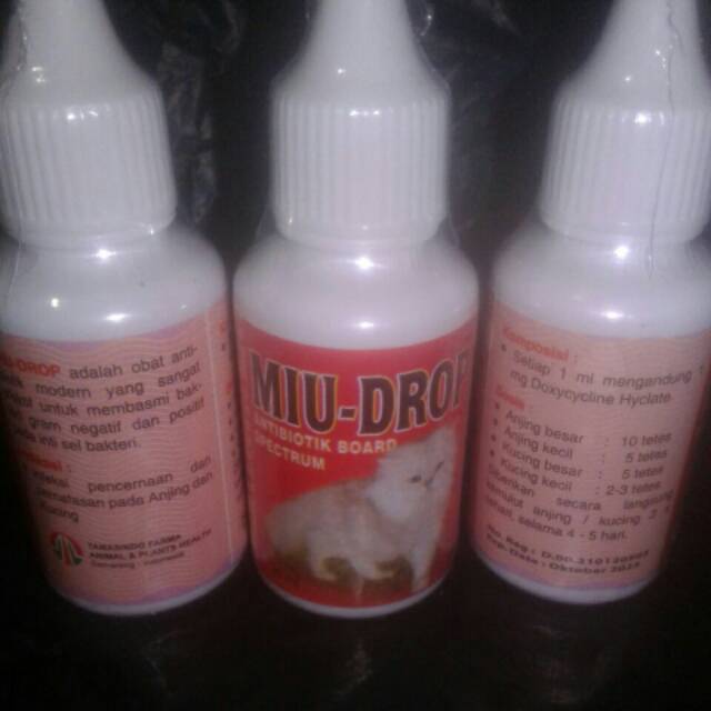 Miu Drop antibiotik untuk kucing.