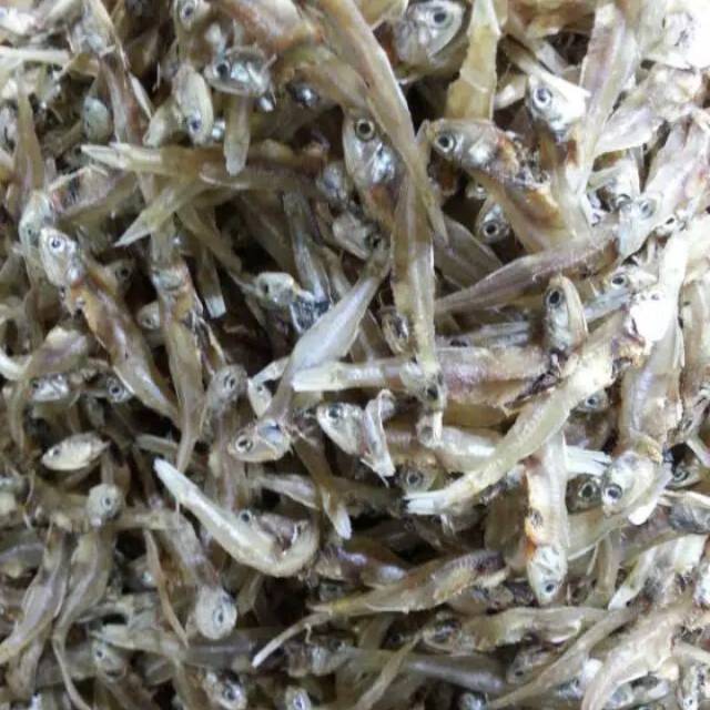 

Ikan teri tawar Padang