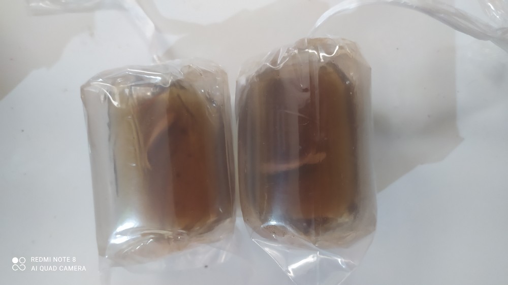 Ikan Cupang Plakat Gold