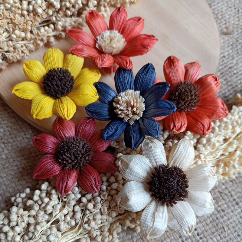 BUNGA KLOBOT MATAHARI