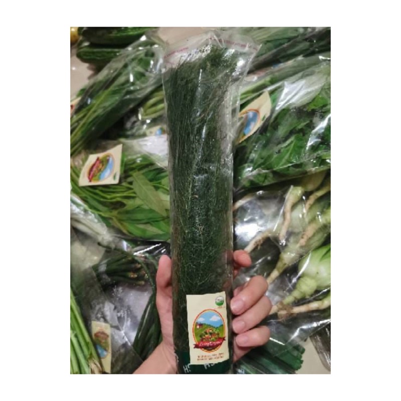 

Daun Dill Organic || 200 gr || Sayuran Organik