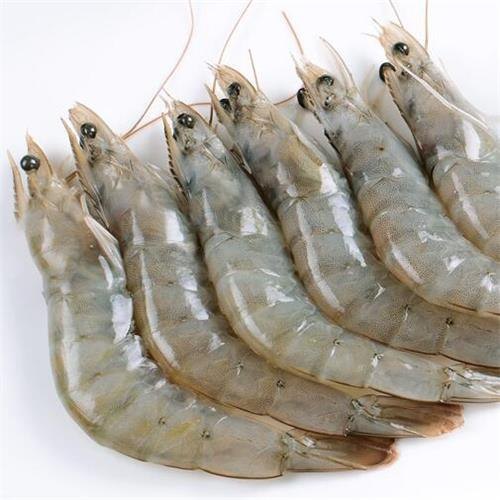 

Udang Vaname Size 60 / Shrimp