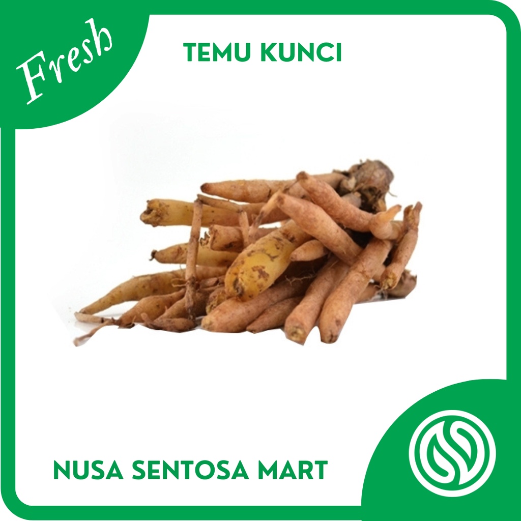 

Bumbu Temu Kunci Segar – 100g