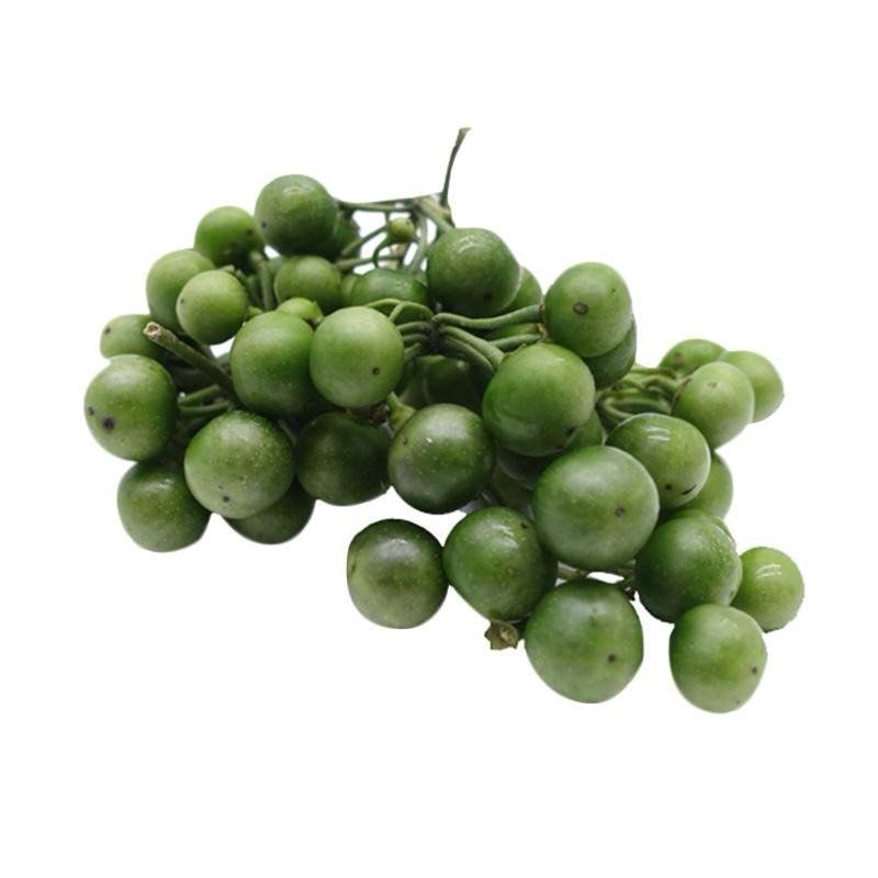 

Leunca segar 250g