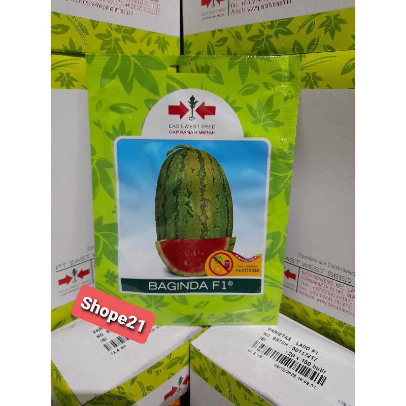 Benih Semangka Baginda f1 isi 80 biji