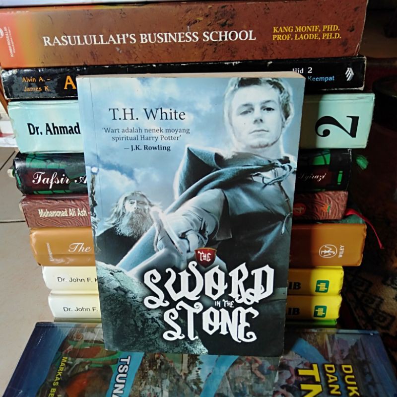 ORI NOVEL THE SWORD IN THE STONE