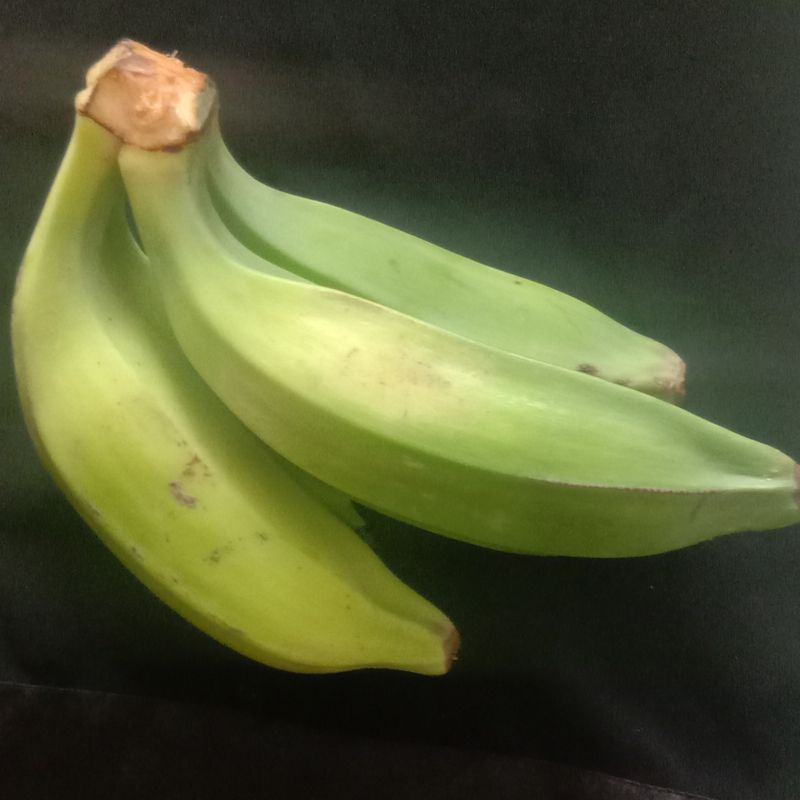 

Pisang batu atau buah pisang klutuk per 500 gram-az