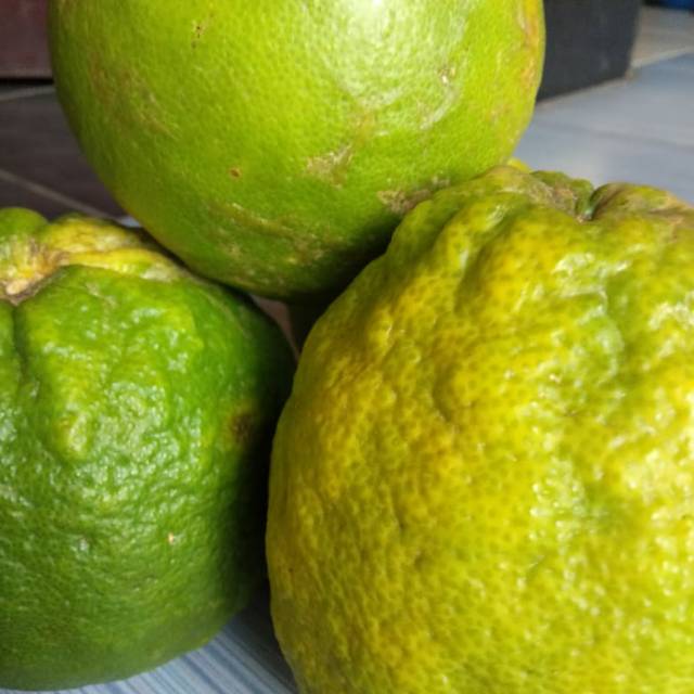 

Jeruk Lemon eurika 1kg